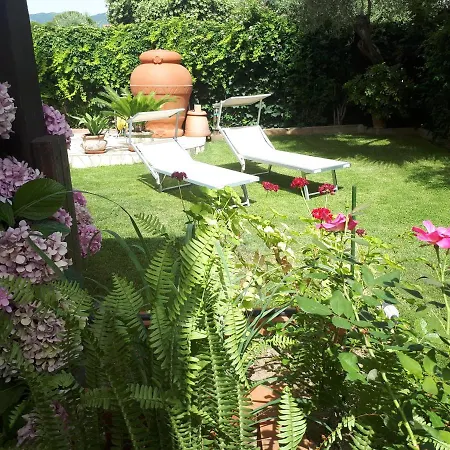 Degli Ulivi Holiday home Su Loi